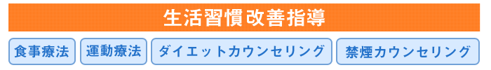 生活習慣改善指導食事療法,ダイエットカウンセリング,禁煙カウンセリング,運動療法